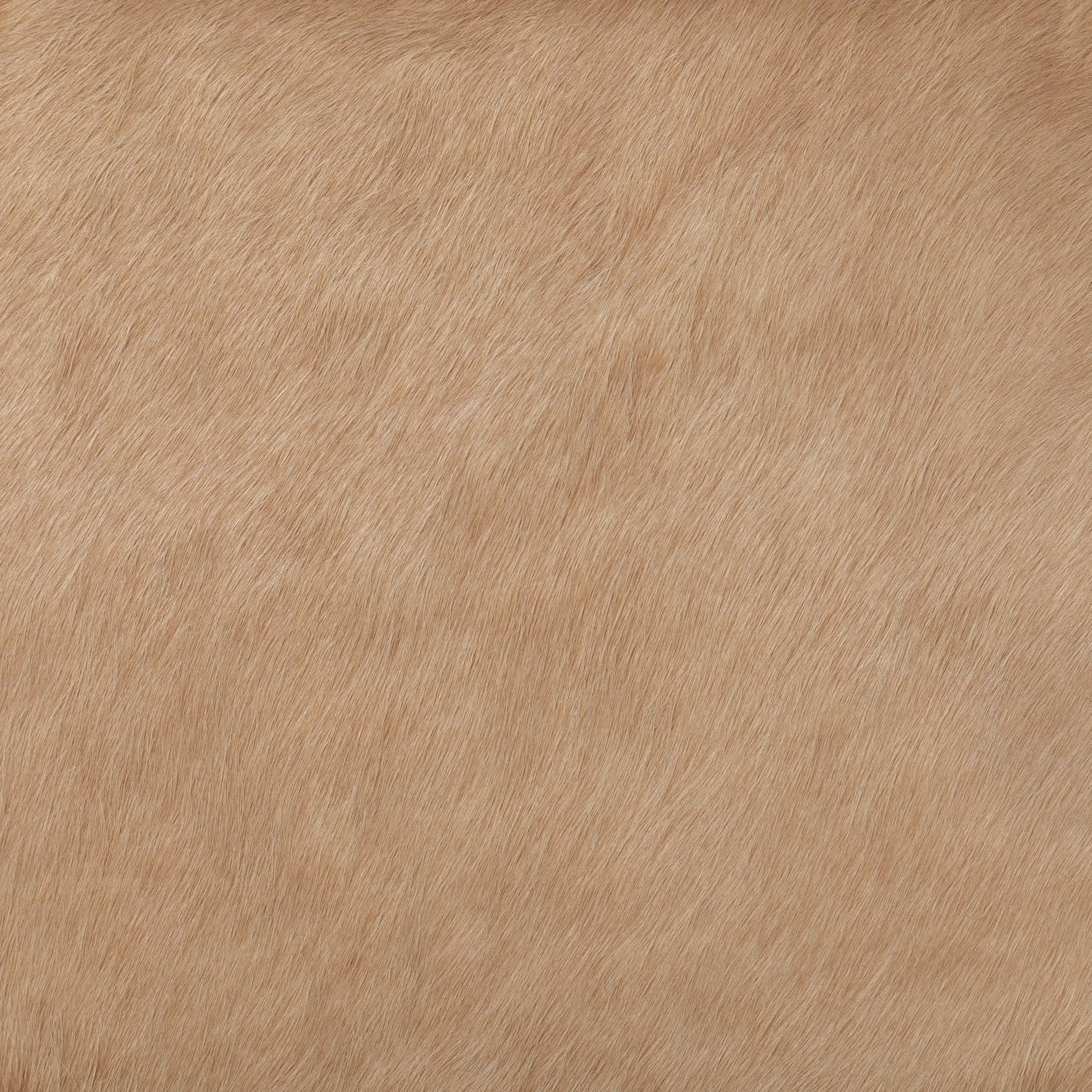 Villa Dining Chair by Four Hands. Made from hair on hide, solid beech, iron in a rustic style.