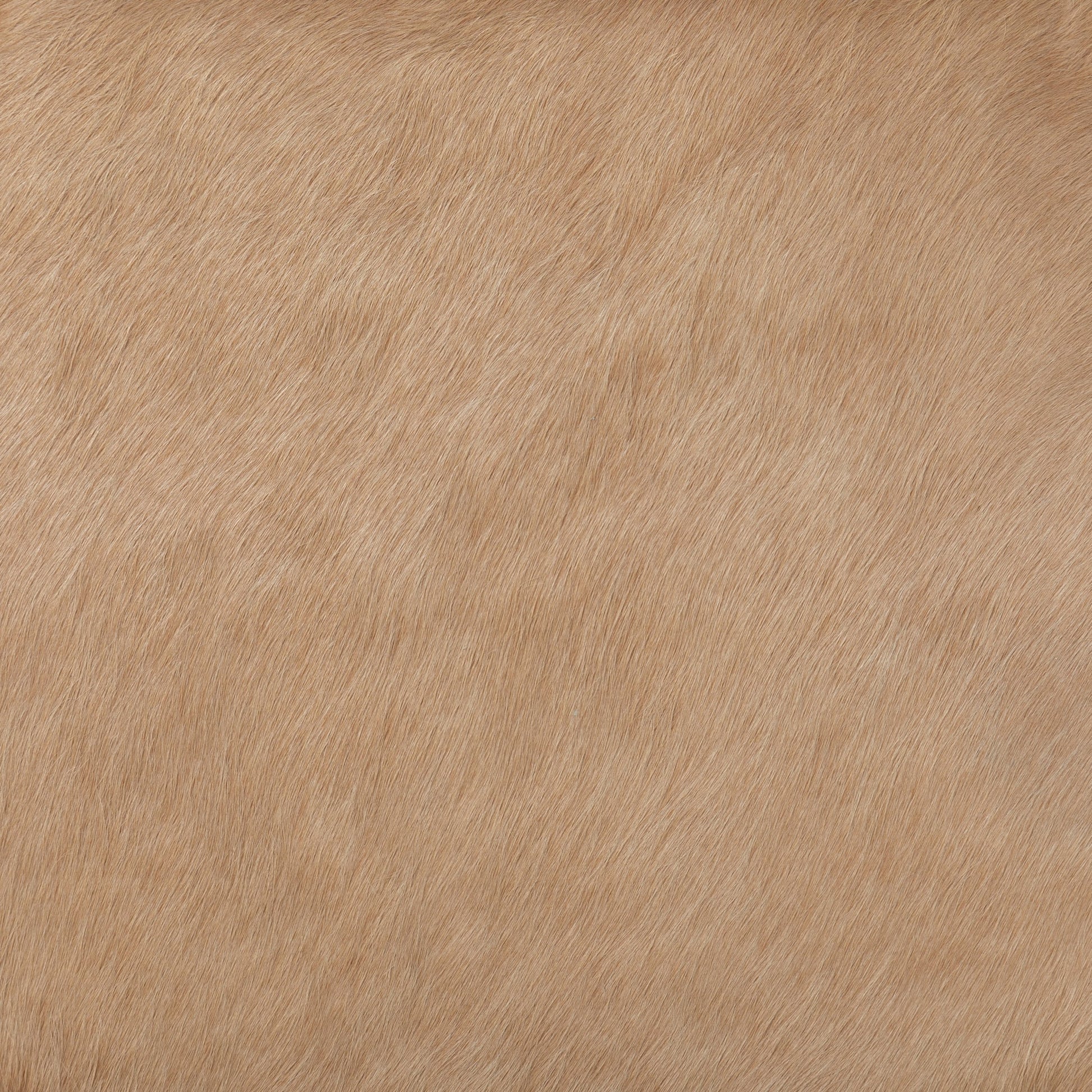 Villa Dining Chair by Four Hands. Made from hair on hide, solid beech, iron in a rustic style.