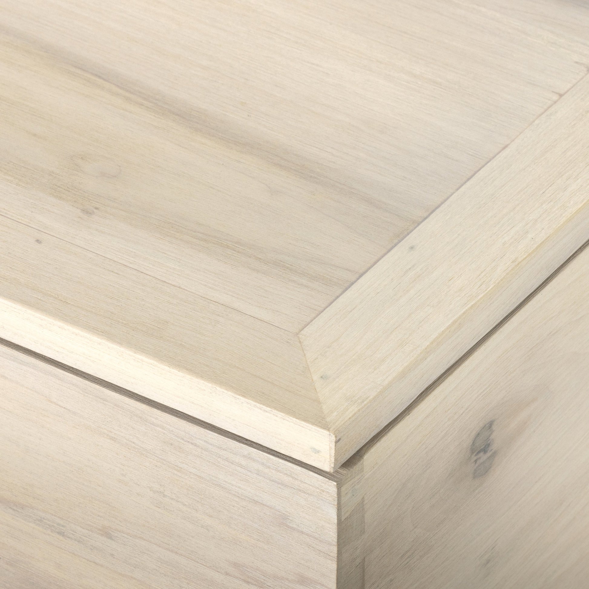 Trey Trunk by Four Hands. Made from solid poplar, top grain leather, iron in a rustic style.