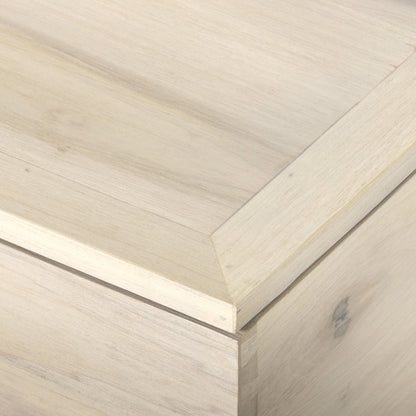 Trey Trunk by Four Hands. Made from solid poplar, top grain leather, iron in a rustic style.