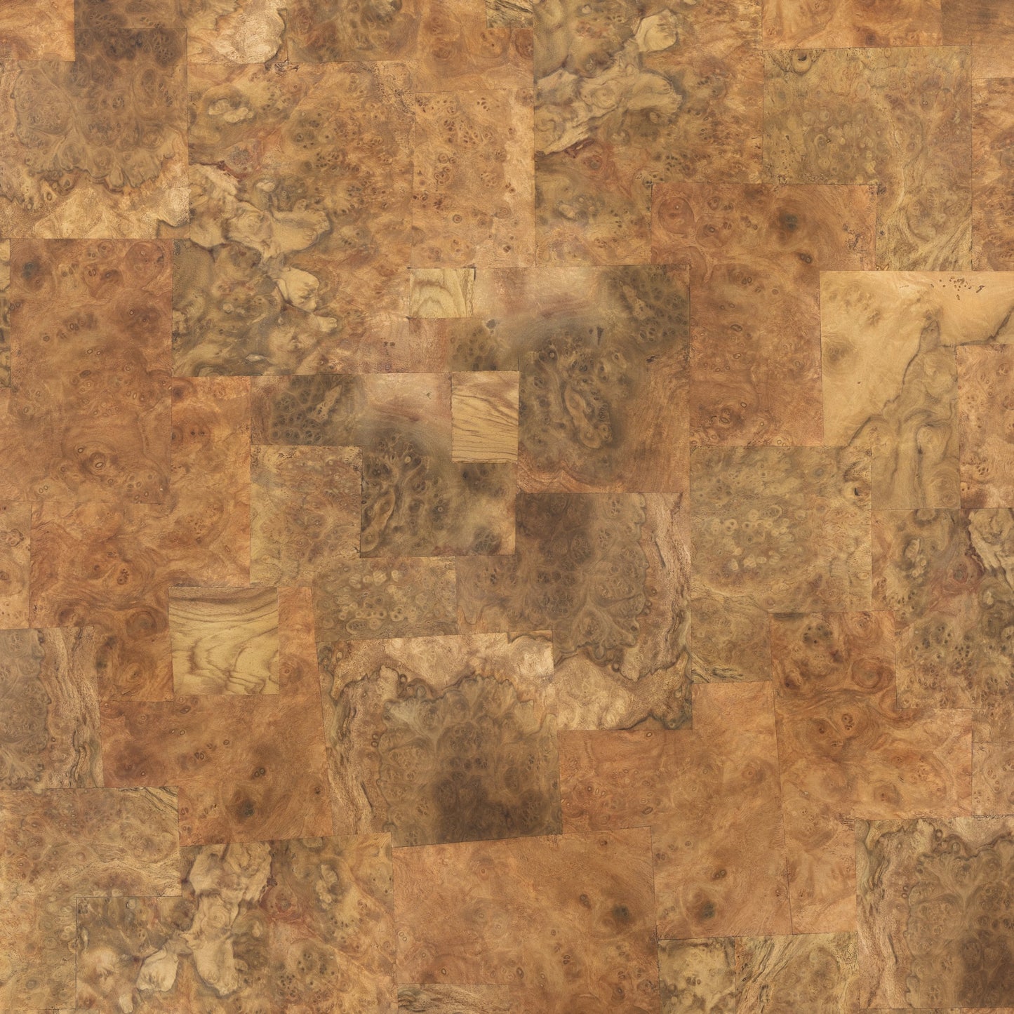 020 SI-1977097 | Closeup | Blanco Coffee Table by Four Hands in warm umber burl. Made from walnut burl veneer, thick mahogany veneer, pine plywood in a modern style.