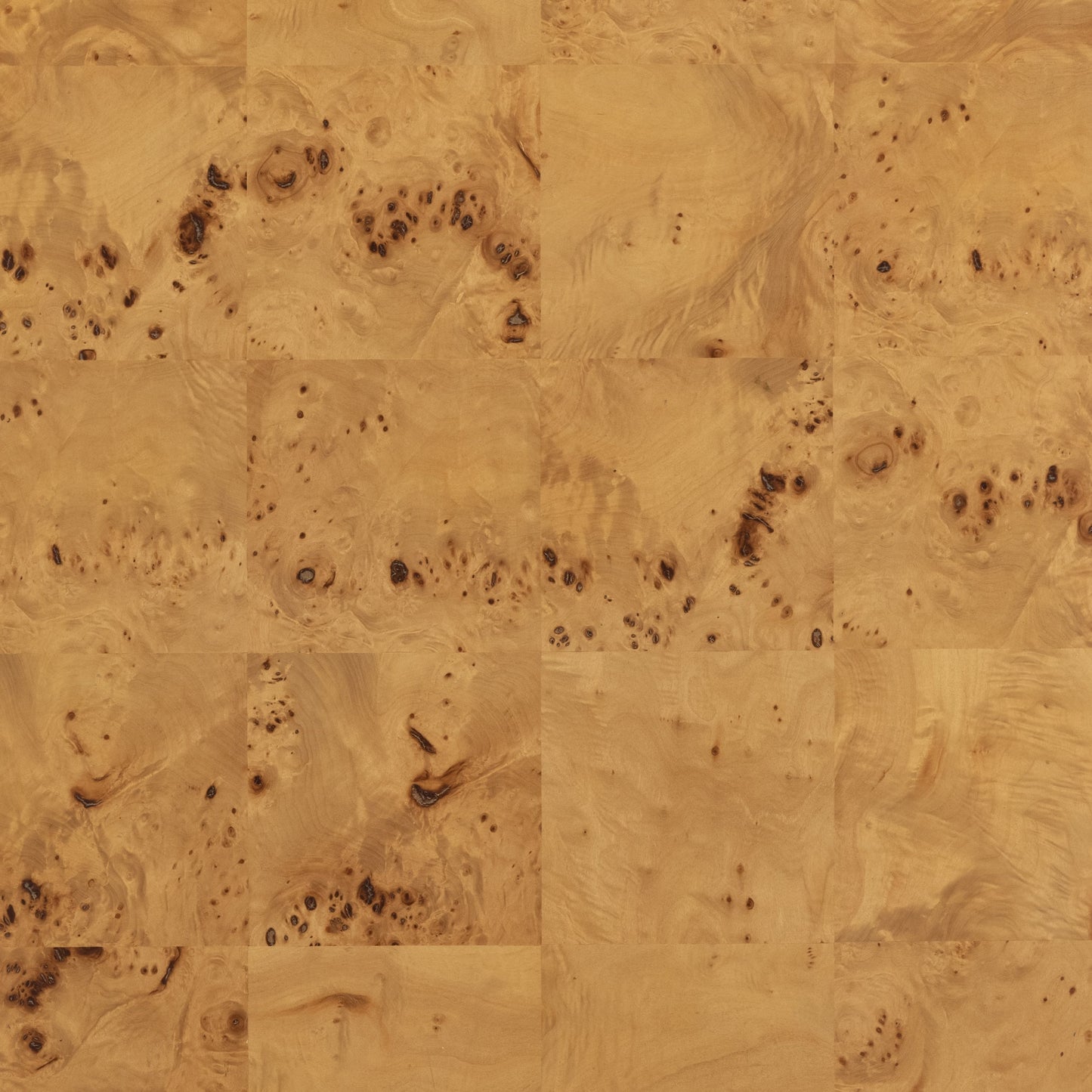 005 SI-1903046 | Additional Silo | Jenson Coffee Table by Four Hands in natural poplar burl veneer and natural poplar burl. Made from poplar burl veneer in a coastal style.