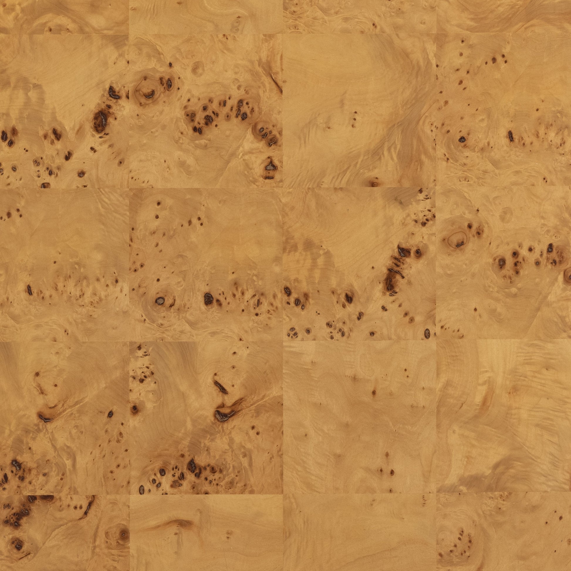 Jenson Coffee Table by Four Hands in natural poplar burl veneer and natural poplar burl. Made from poplar burl veneer in a coastal style.