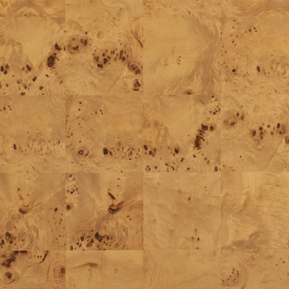 Jenson Coffee Table by Four Hands in natural poplar burl veneer and natural poplar burl. Made from poplar burl veneer in a coastal style.