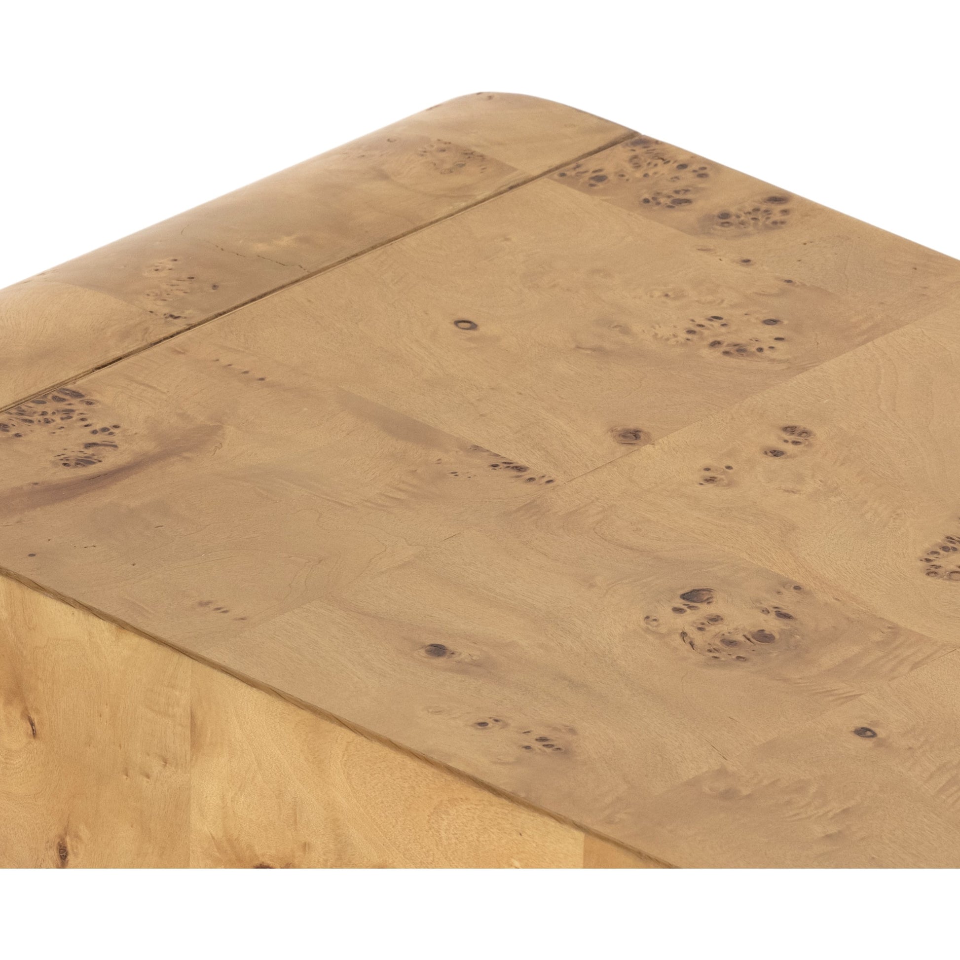 Jenson Console Table by Four Hands in natural poplar burl veneer and natural poplar burl. Made from poplar burl veneer in a coastal style.