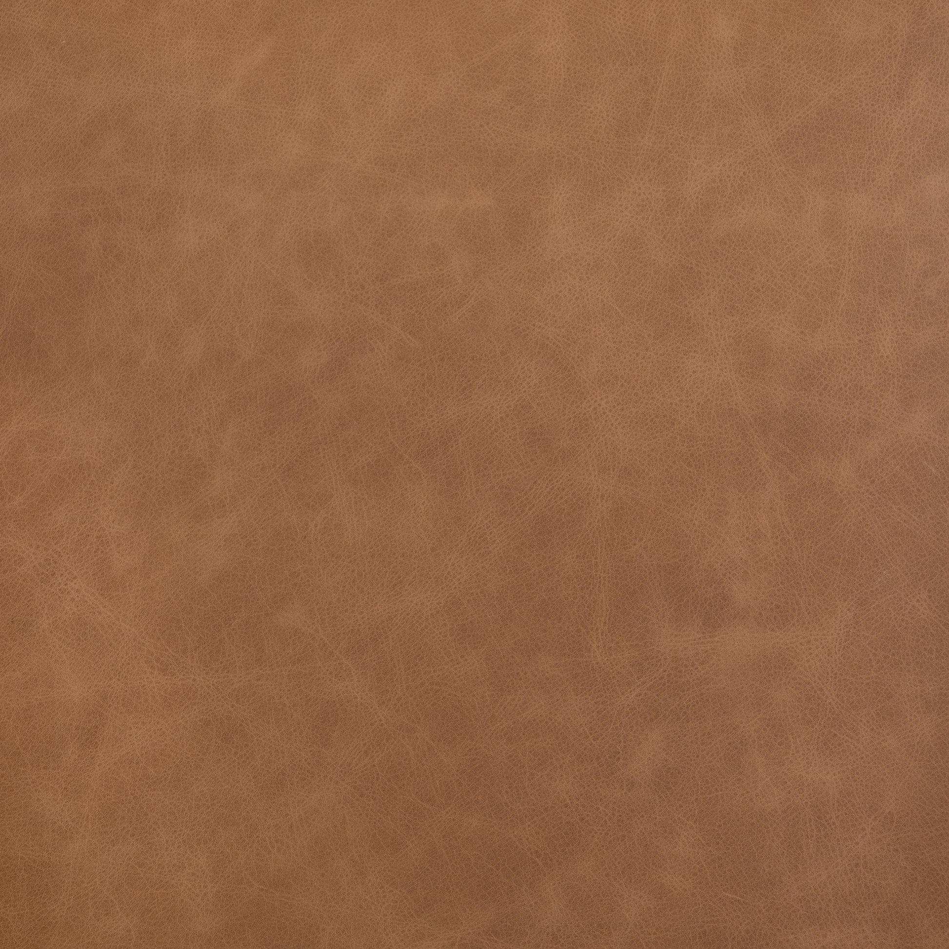 Hawkins Chair by Four Hands in sonoma butterscotch. Made from top grain leather, poplar plywood, 100% polyester in a modern style.