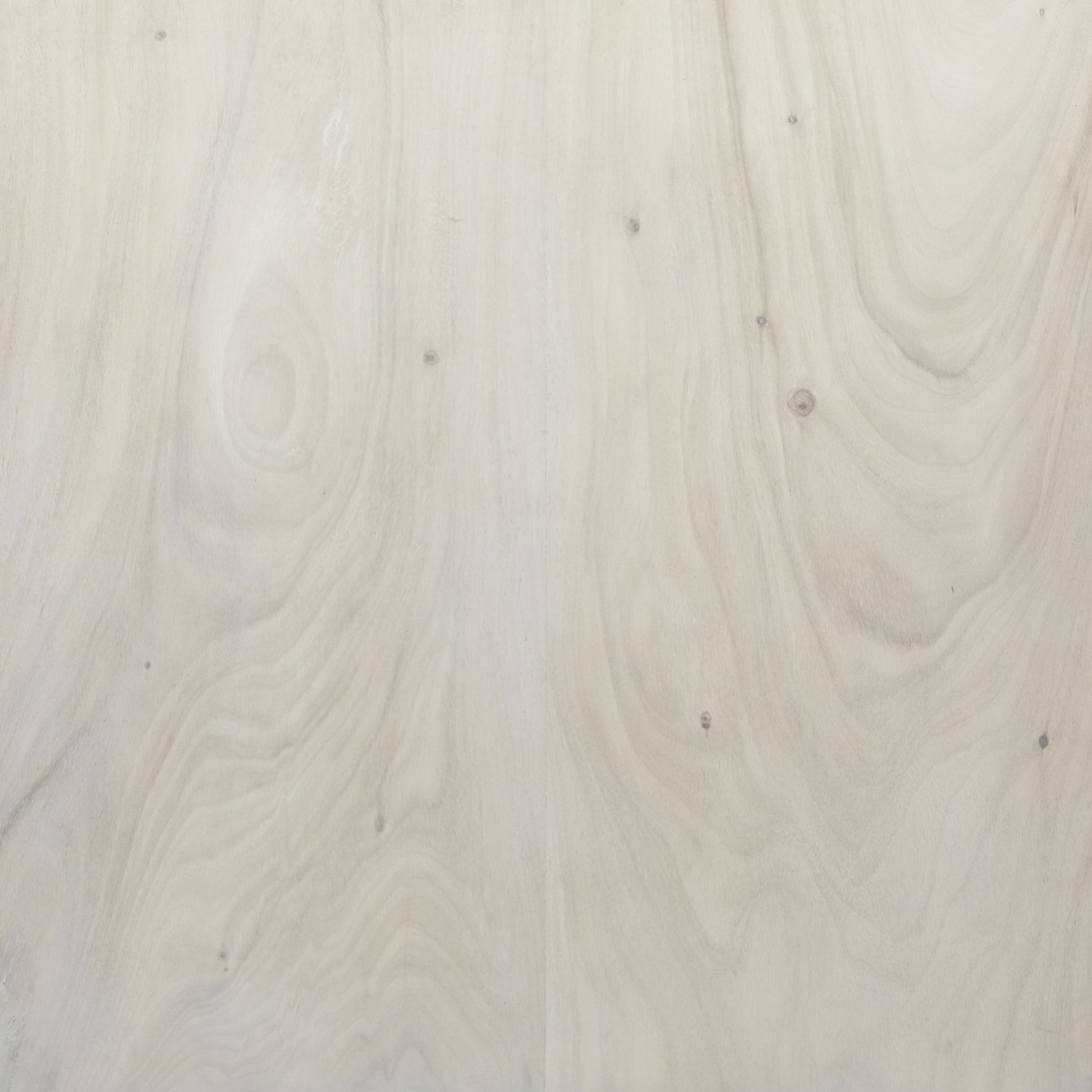 Fausto Coffee Table by Four Hands in bleached guanacaste. Made from thick guanacaste veneer in a modern style.