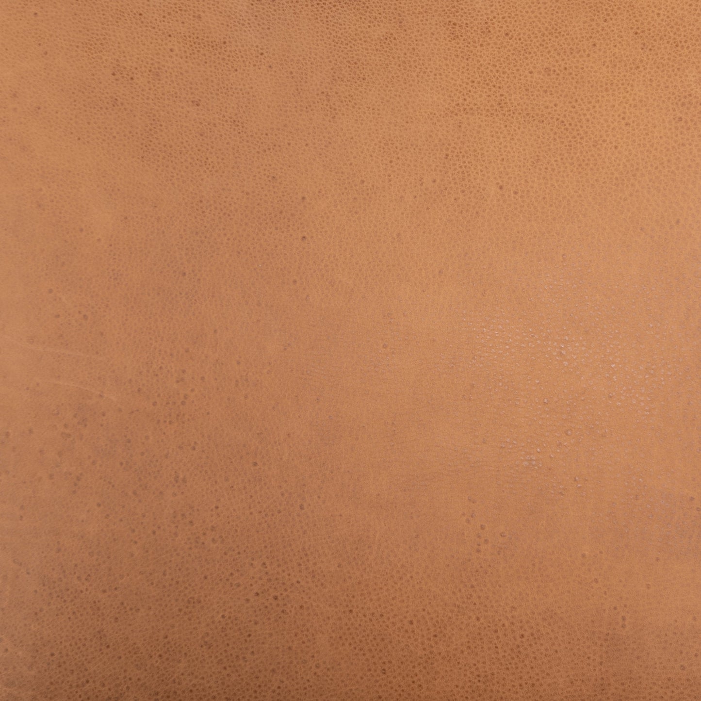 012 SI-1716158 | Closeup | Monza Dining Chair by Four Hands. Made from unique in a modern style.