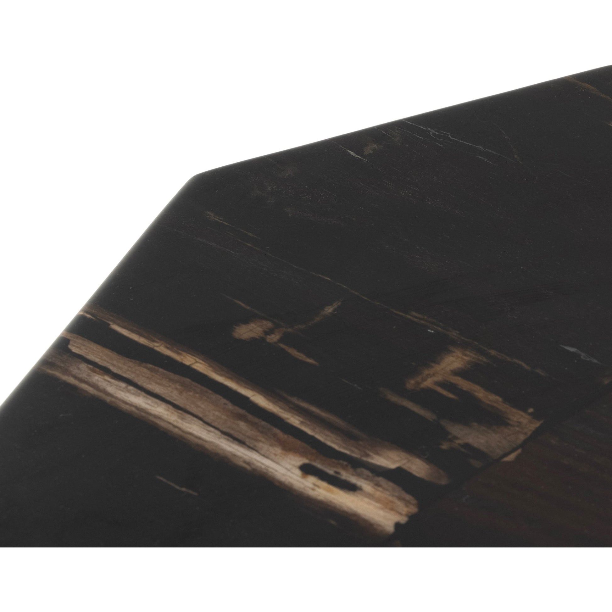 Shep End Table by Four Hands in dark petrified wood, matte brass. Made from petrified wood, stainless steel in a modern style.