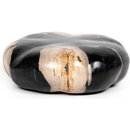 Petrified Wood Organic Sculpture by Four Hands in dark petrified wood. Made from petrified wood in a modern style.