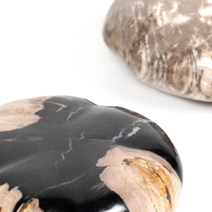 Petrified Wood Organic Sculpture by Four Hands in dark petrified wood. Made from petrified wood in a modern style.