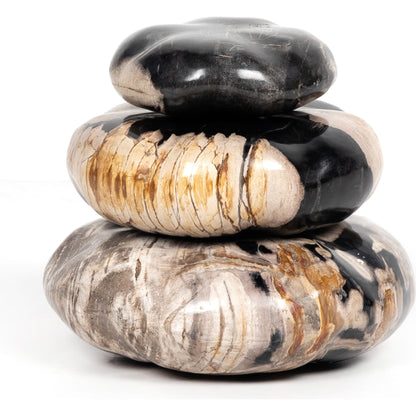 Petrified Wood Organic Sculpture by Four Hands in dark petrified wood. Made from petrified wood in a modern style.