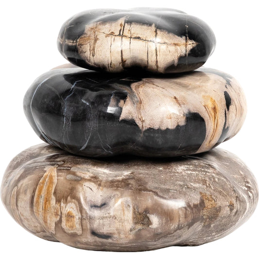 Petrified Wood Organic Sculpture by Four Hands in dark petrified wood. Made from petrified wood in a modern style.