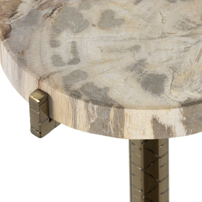 Jonty Round End Table by Four Hands. Made from petrified wood, stainless steel in a modern style.