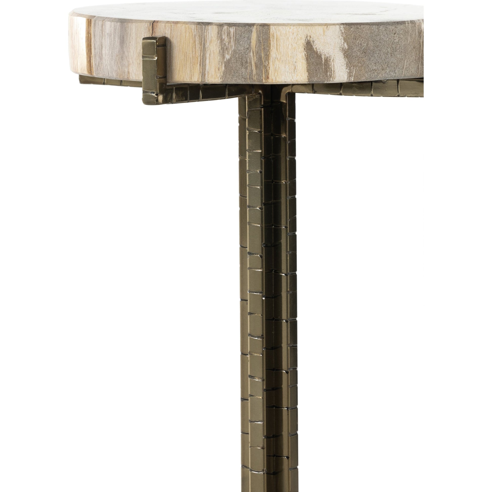 Jonty Round End Table by Four Hands. Made from petrified wood, stainless steel in a modern style.