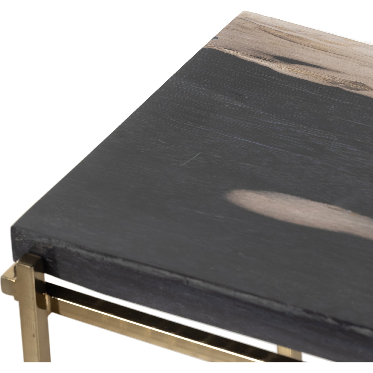 007 SI-1800169 | Closeup | Tig End Table by Four Hands in textured brass, dark petrified wood. Made from petrified wood, stainless steel in a transitional style.