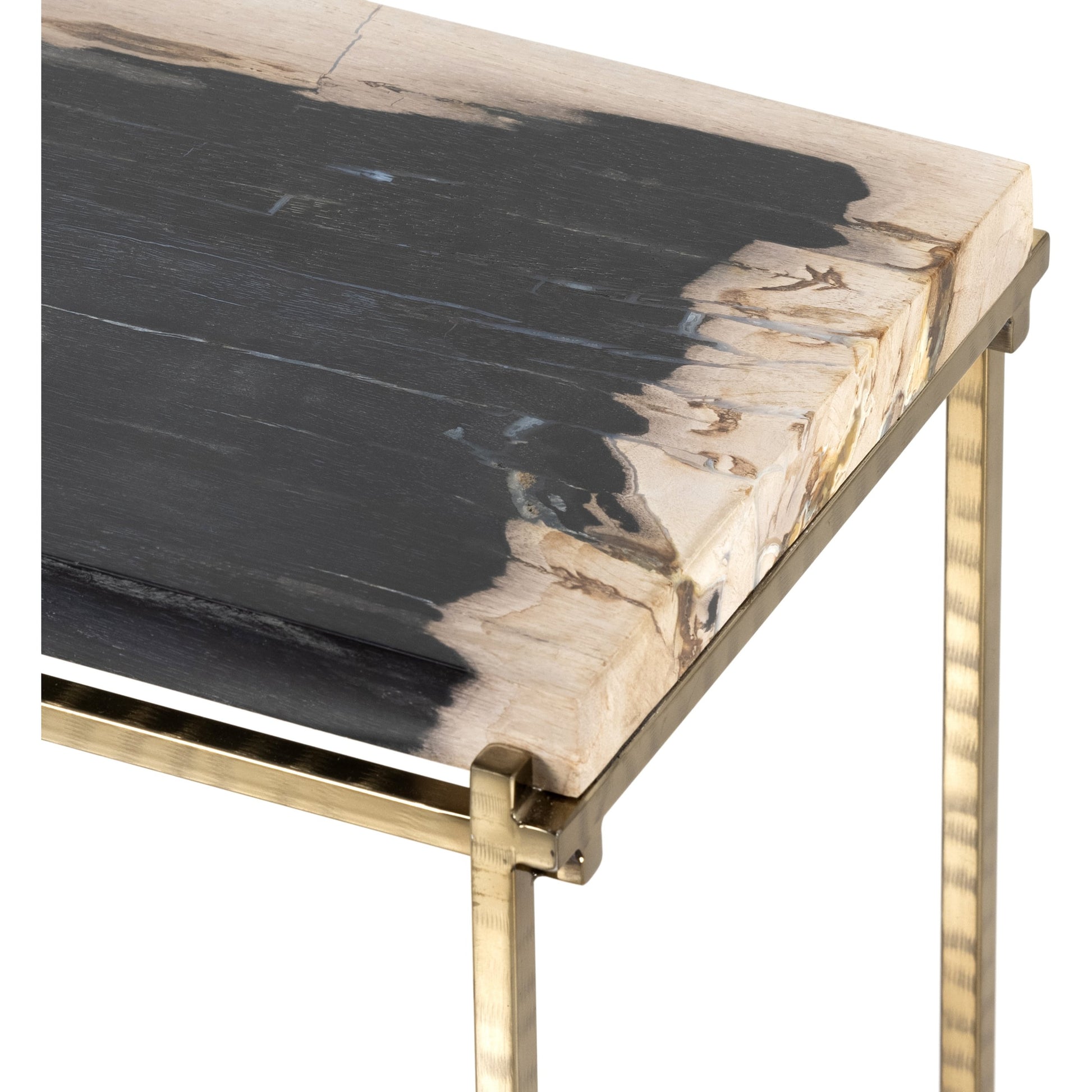 Tig End Table by Four Hands in textured brass, dark petrified wood. Made from petrified wood, stainless steel in a transitional style.
