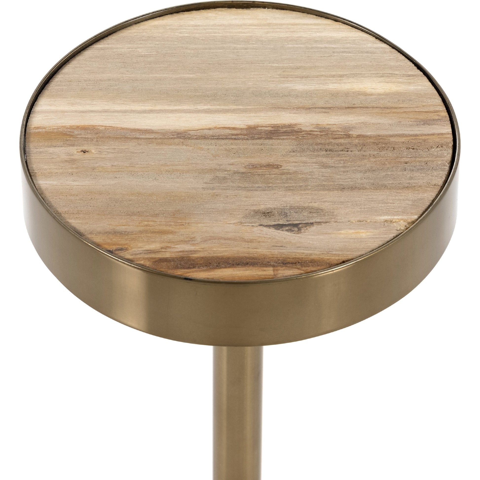 Galen End Table by Four Hands in dark petrified wood, shiny brass. Made from petrified wood, stainless steel in a modern style.