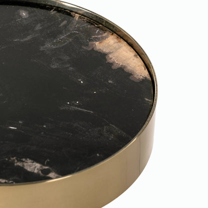 Galen End Table by Four Hands in dark petrified wood, shiny brass. Made from petrified wood, stainless steel in a modern style.