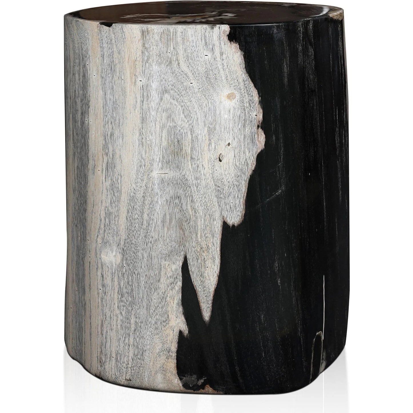 011 SI-1799197 | Additional Silo | Kos End Table by Four Hands. Made from petrified wood in a modern style.