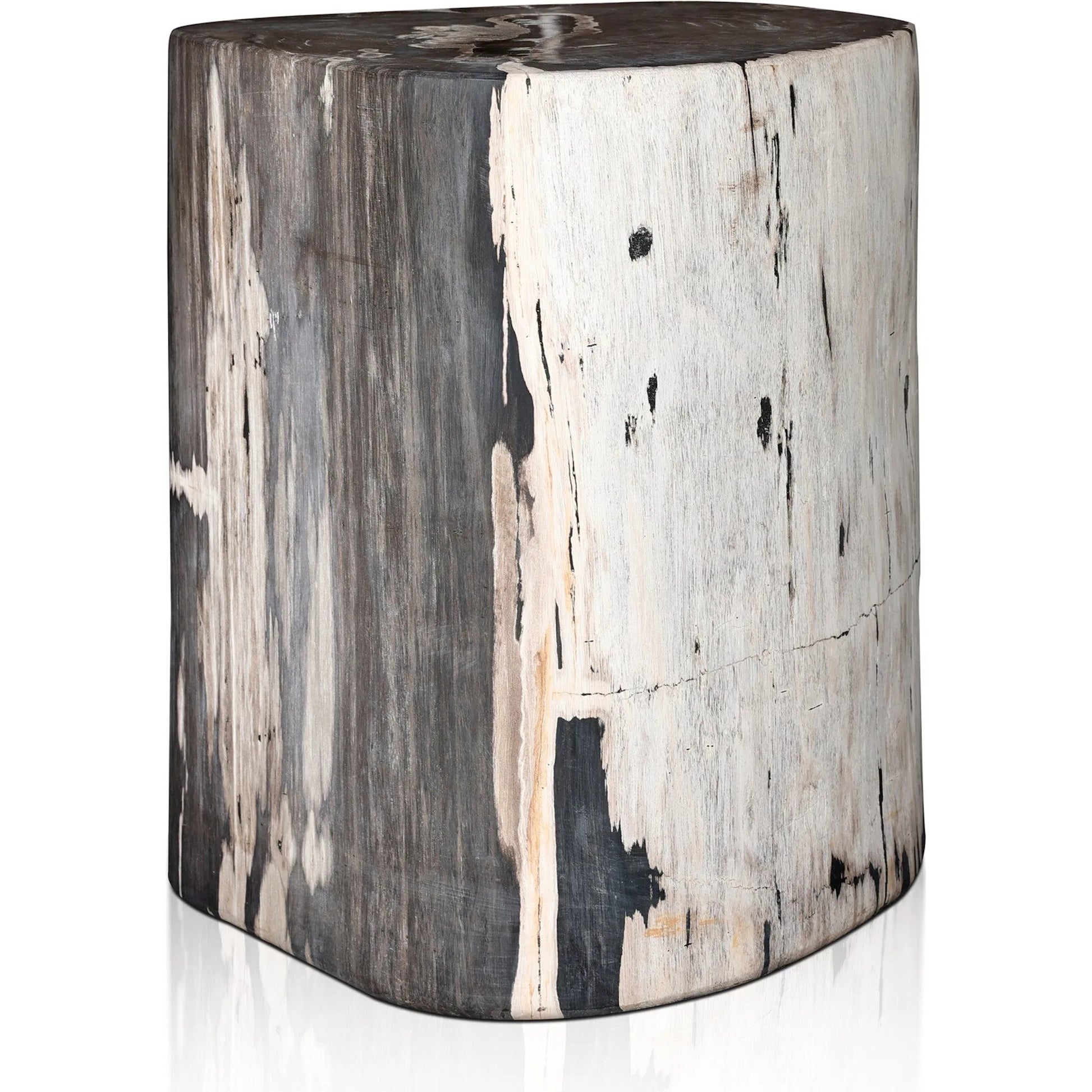 Kos End Table by Four Hands. Made from petrified wood in a modern style.