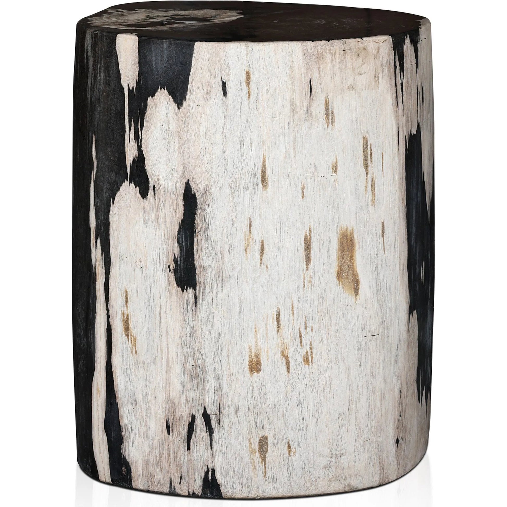 Kos End Table by Four Hands. Made from petrified wood in a modern style.