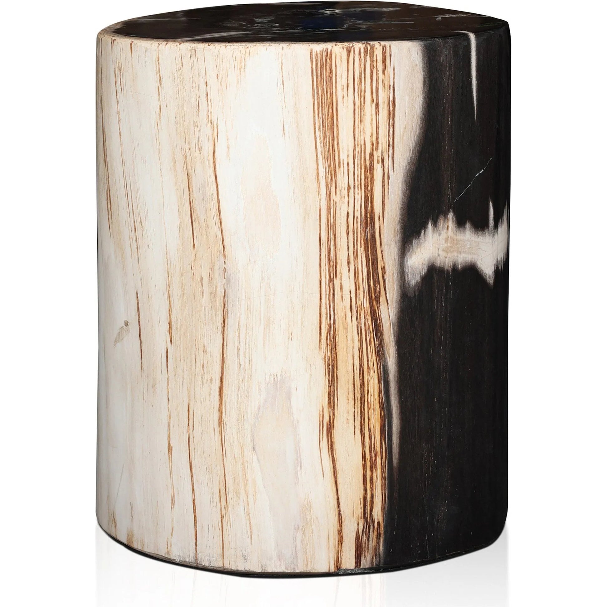 Kos End Table by Four Hands. Made from petrified wood in a modern style.
