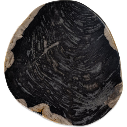 Kos End Table by Four Hands. Made from petrified wood in a modern style.