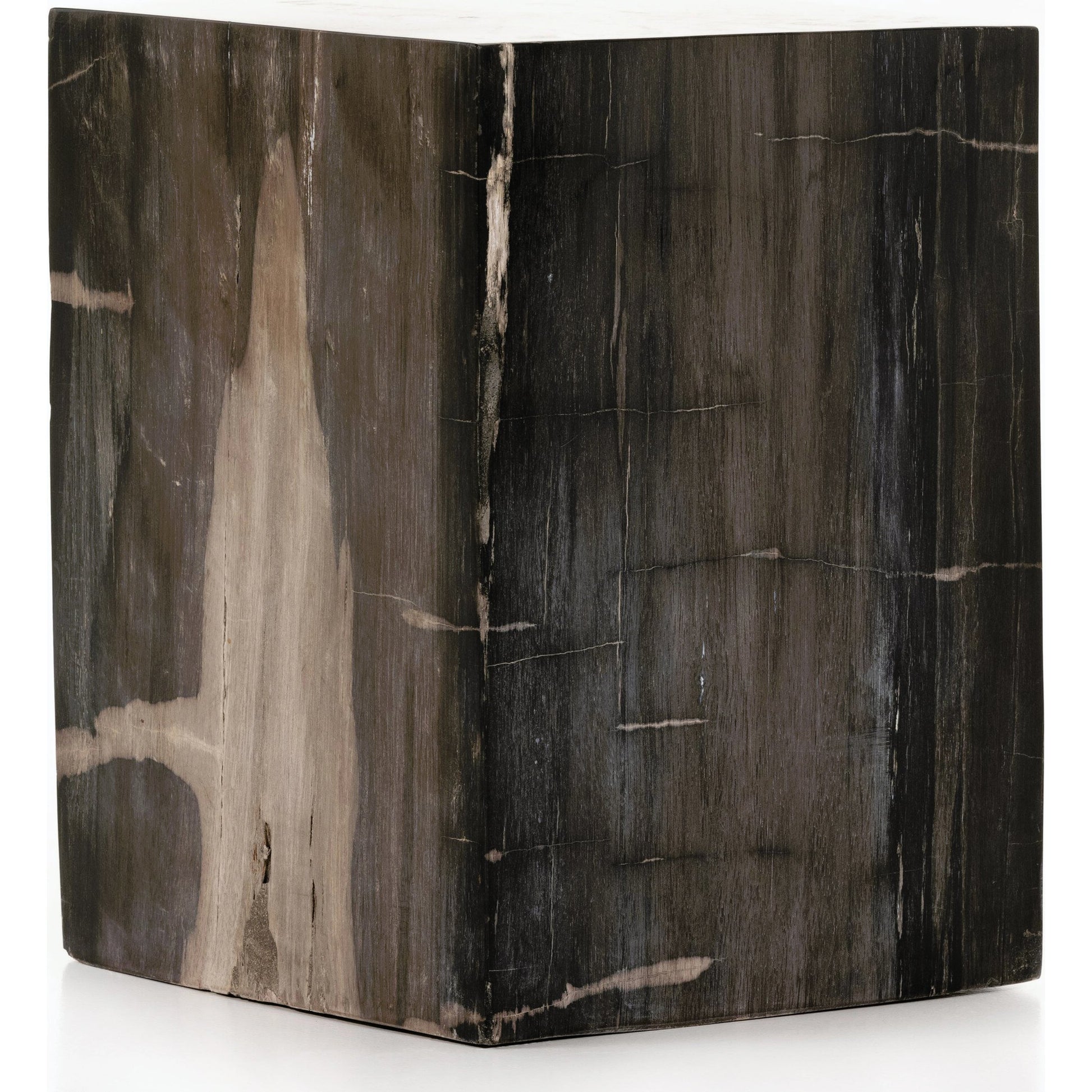 Buck End Table by Four Hands in dark petrified wood. Made from petrified wood in a rustic style.