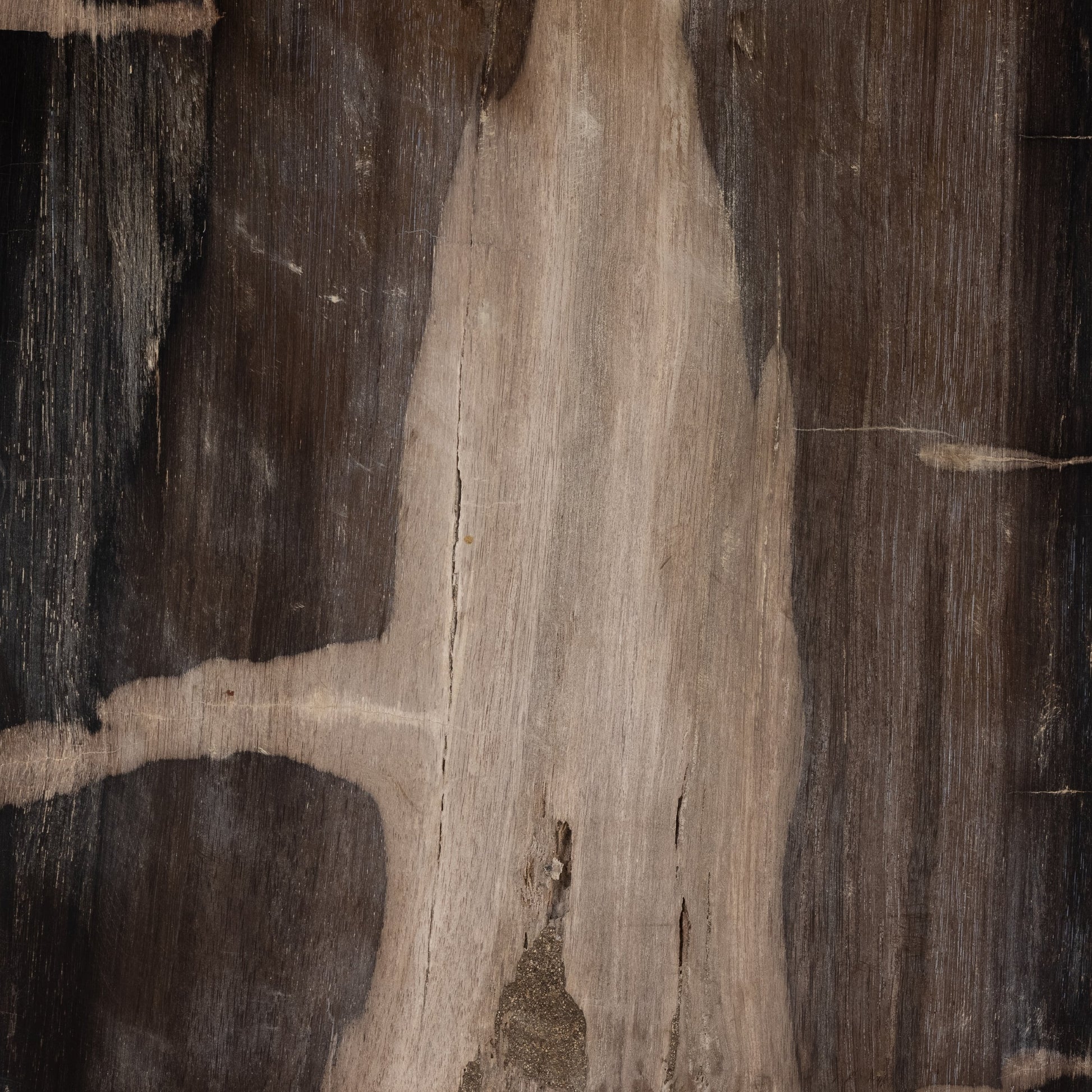 Buck End Table by Four Hands in dark petrified wood. Made from petrified wood in a rustic style.