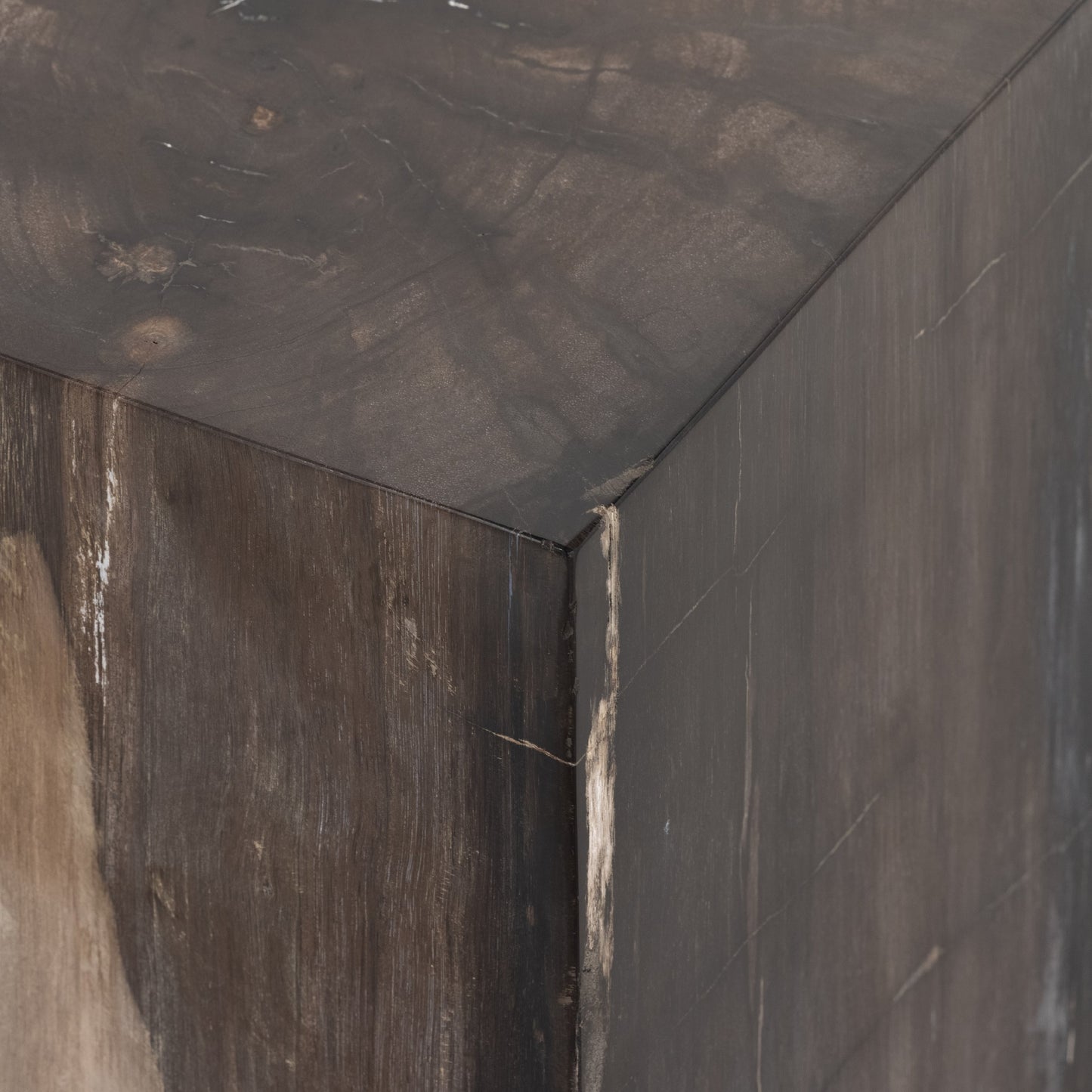 006 SI-1799439 | Closeup | Buck End Table by Four Hands in dark petrified wood. Made from petrified wood in a rustic style.