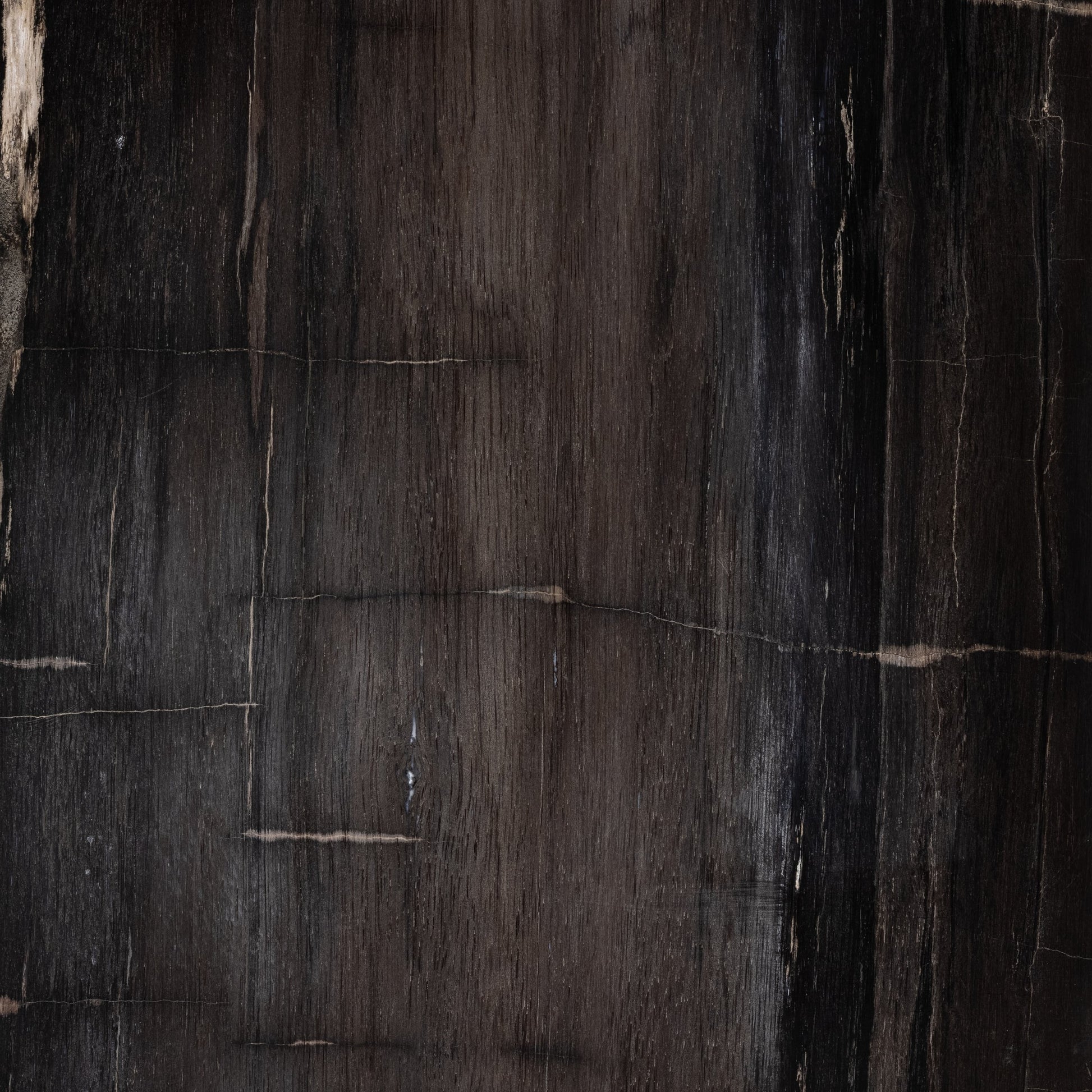 Buck End Table by Four Hands in dark petrified wood. Made from petrified wood in a rustic style.