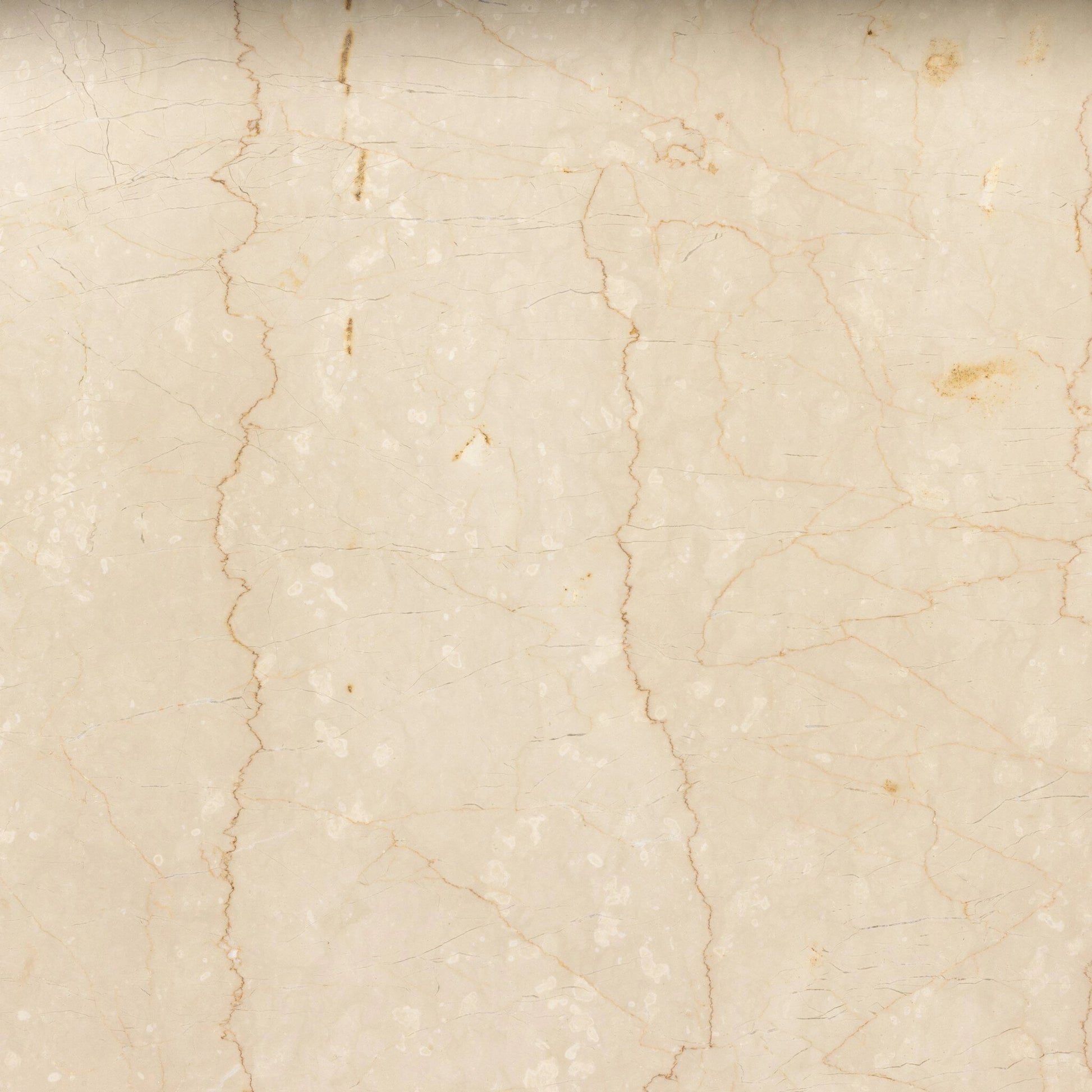 Arum Dining Table by Four Hands in cream marble. Made from solid marble in a coastal style.