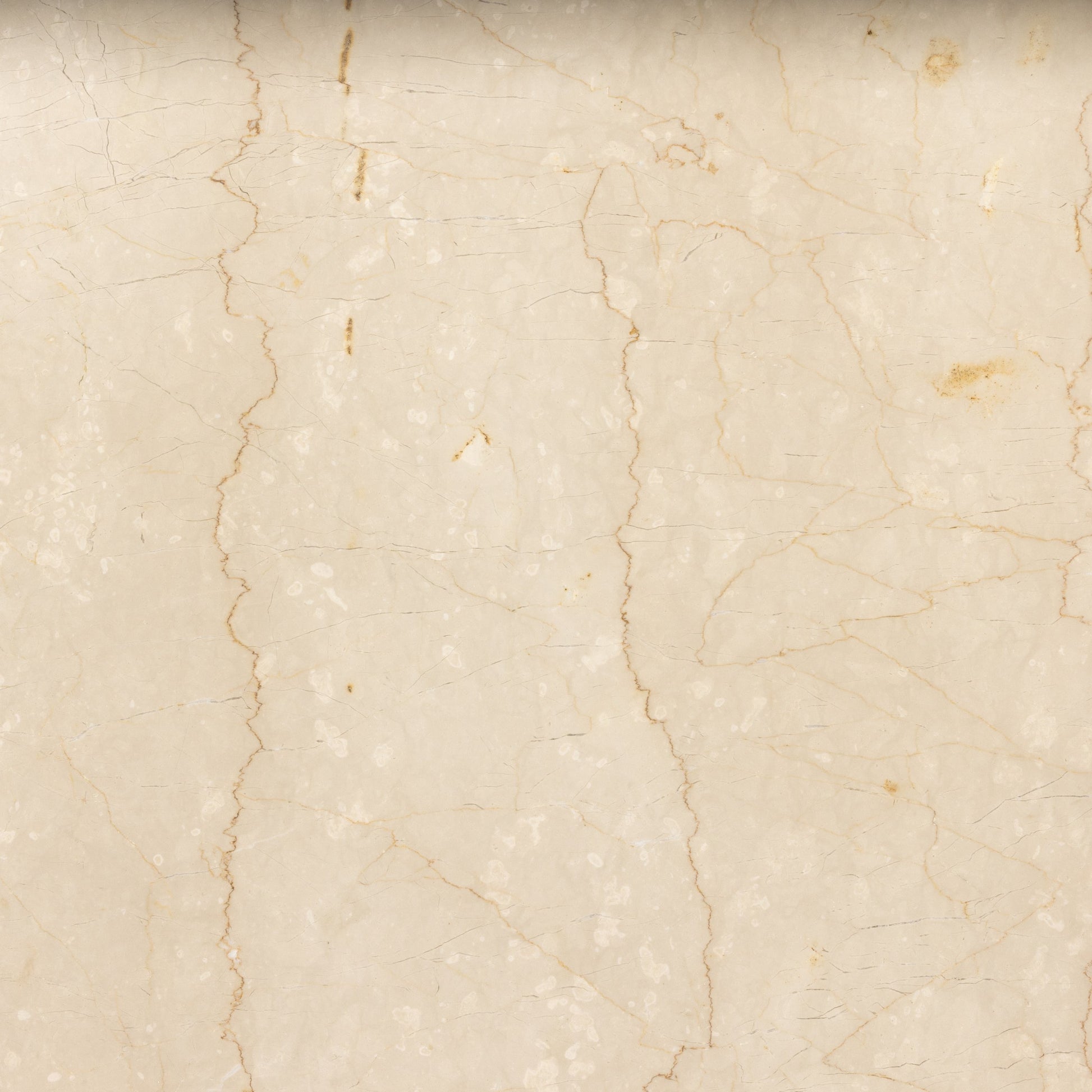 Arum Dining Table by Four Hands in cream marble. Made from solid marble in a coastal style.