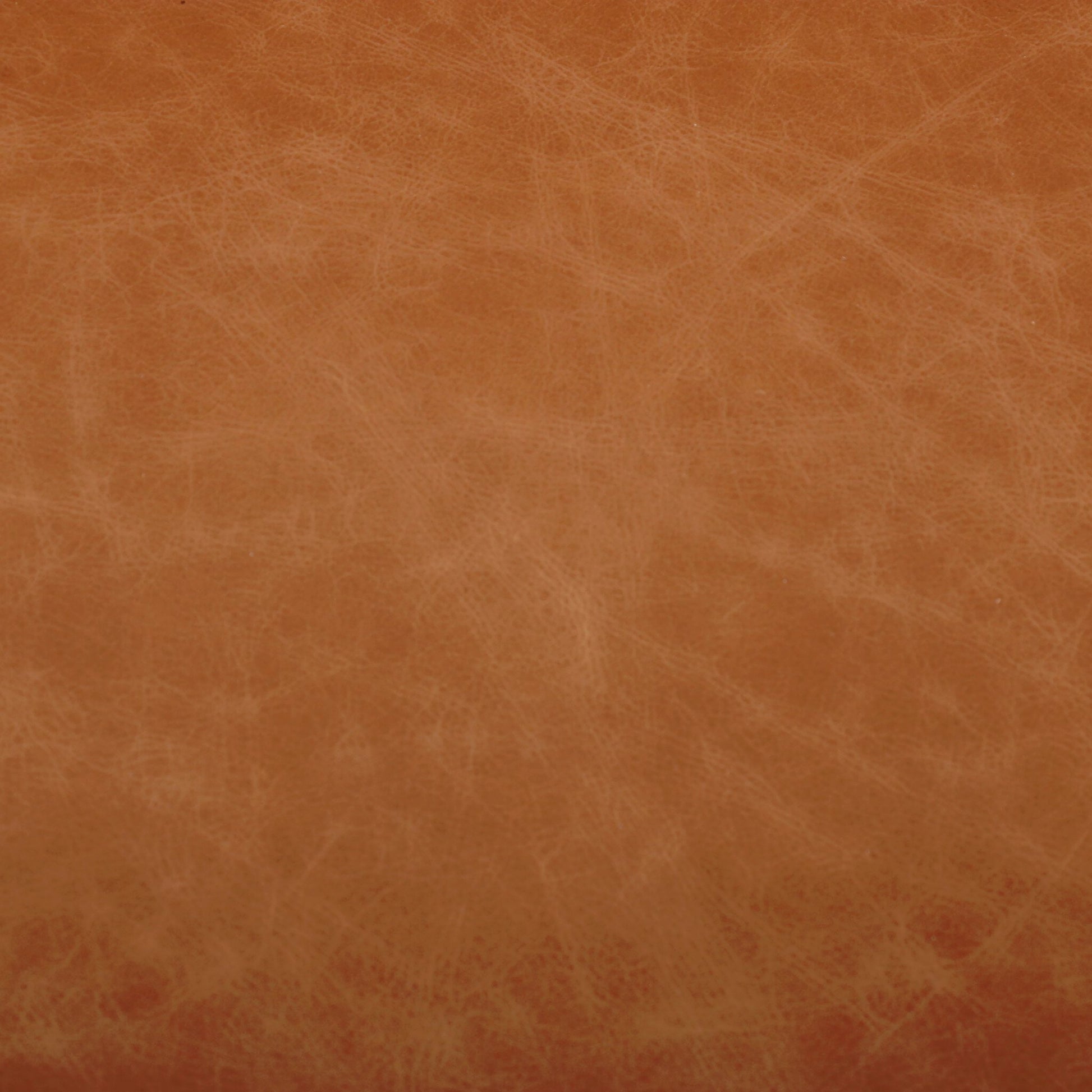 Diana Sofa by Four Hands. Made from unique in a modern style.