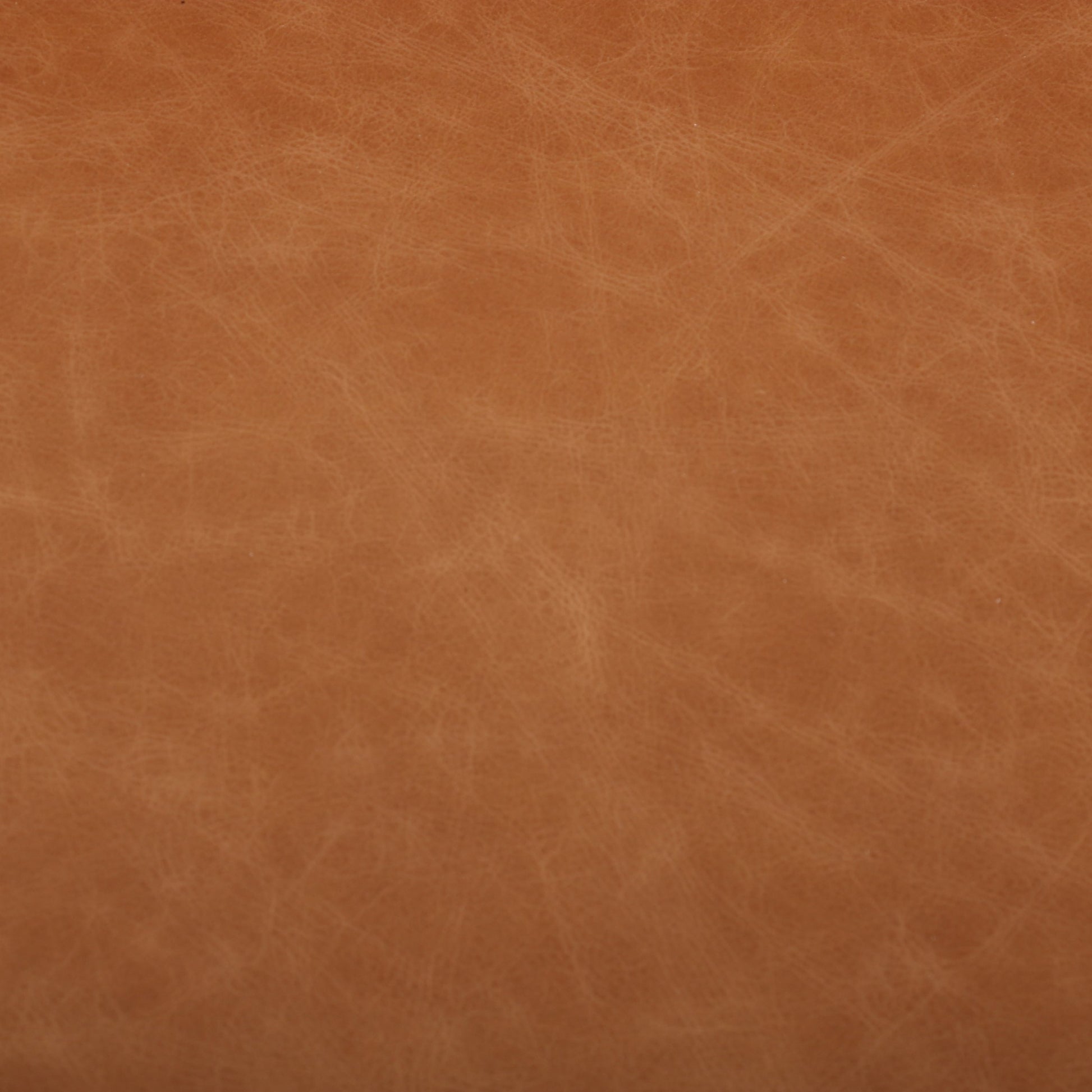 Diana Sofa by Four Hands. Made from unique in a modern style.