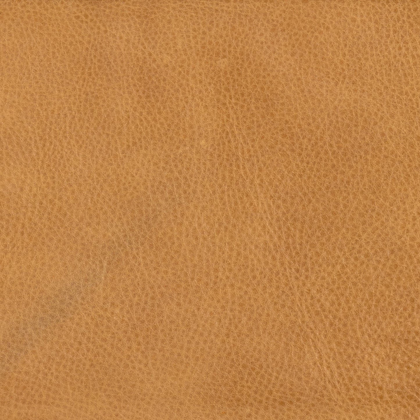 006 SI-1977782 | Closeup | Sem Counter Stool by Four Hands in palermo butterscotch, lamont nettlewood, halcyon ivory. Made from 92% polyester, 8% flax, linen, solid nettlewood, top grain leather in a modern style.