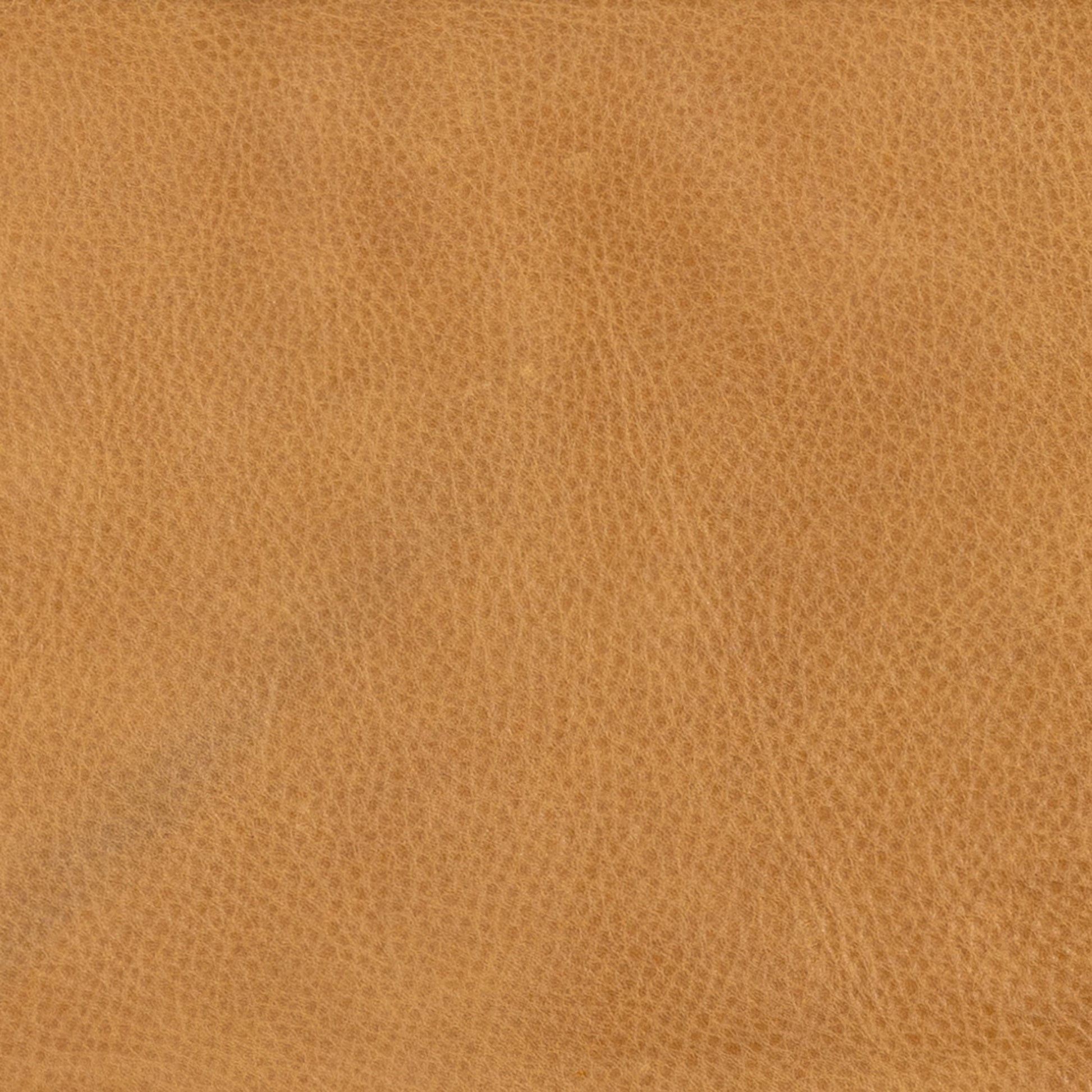 Sem Counter Stool by Four Hands in palermo butterscotch, lamont nettlewood, halcyon ivory. Made from 92% polyester, 8% flax, linen, solid nettlewood, top grain leather in a modern style.