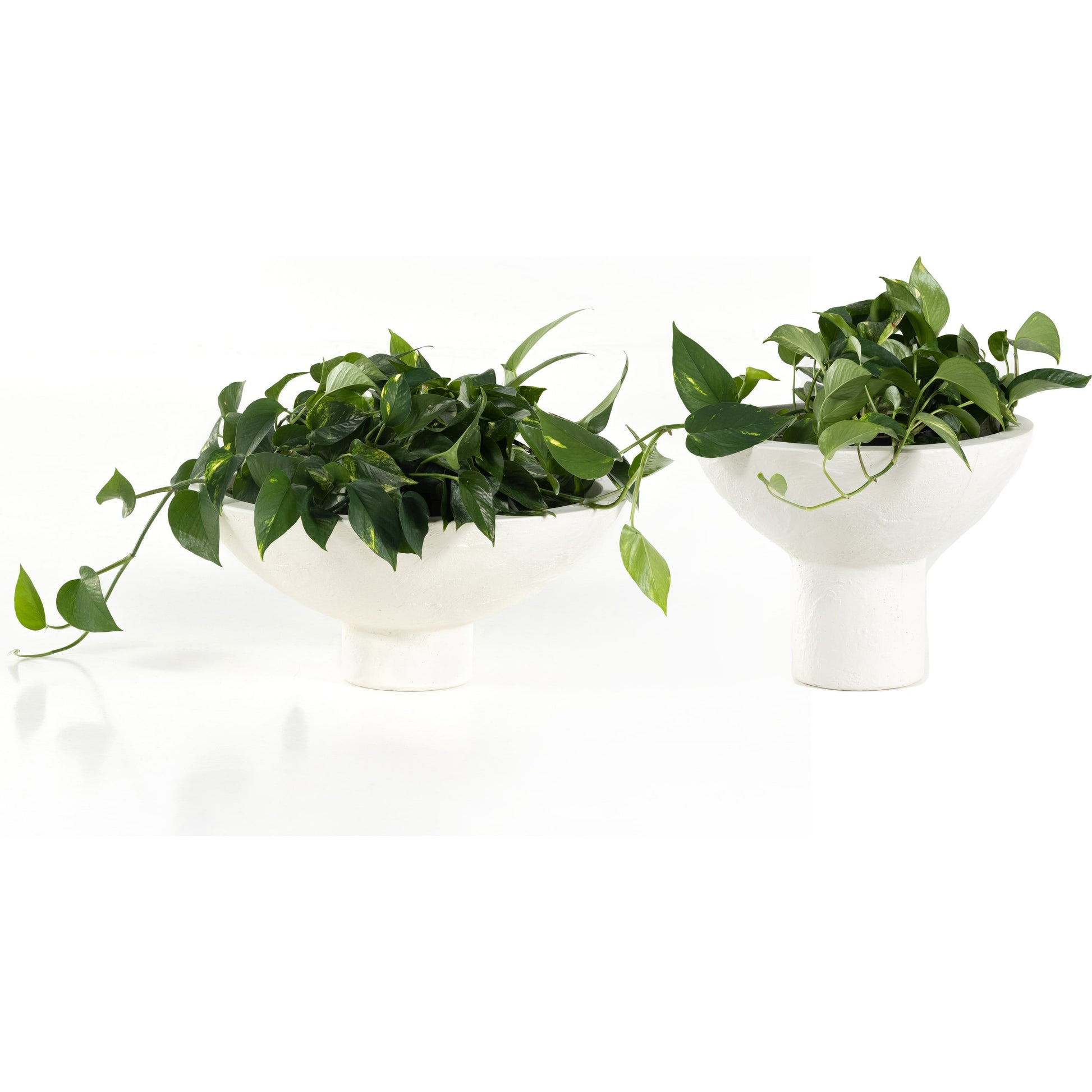 Pressler Outdoor Planter, (Set of 2) by Four Hands in plaster molded concrete and white. Made from concrete in a modern style.
