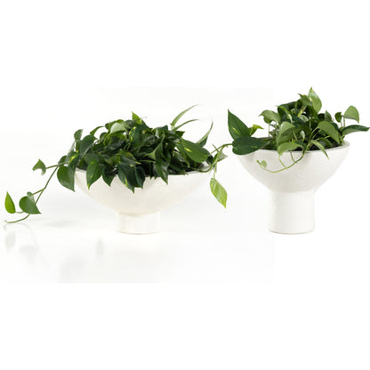 Pressler Outdoor Planter, (Set of 2) by Four Hands in plaster molded concrete and white. Made from concrete in a modern style.