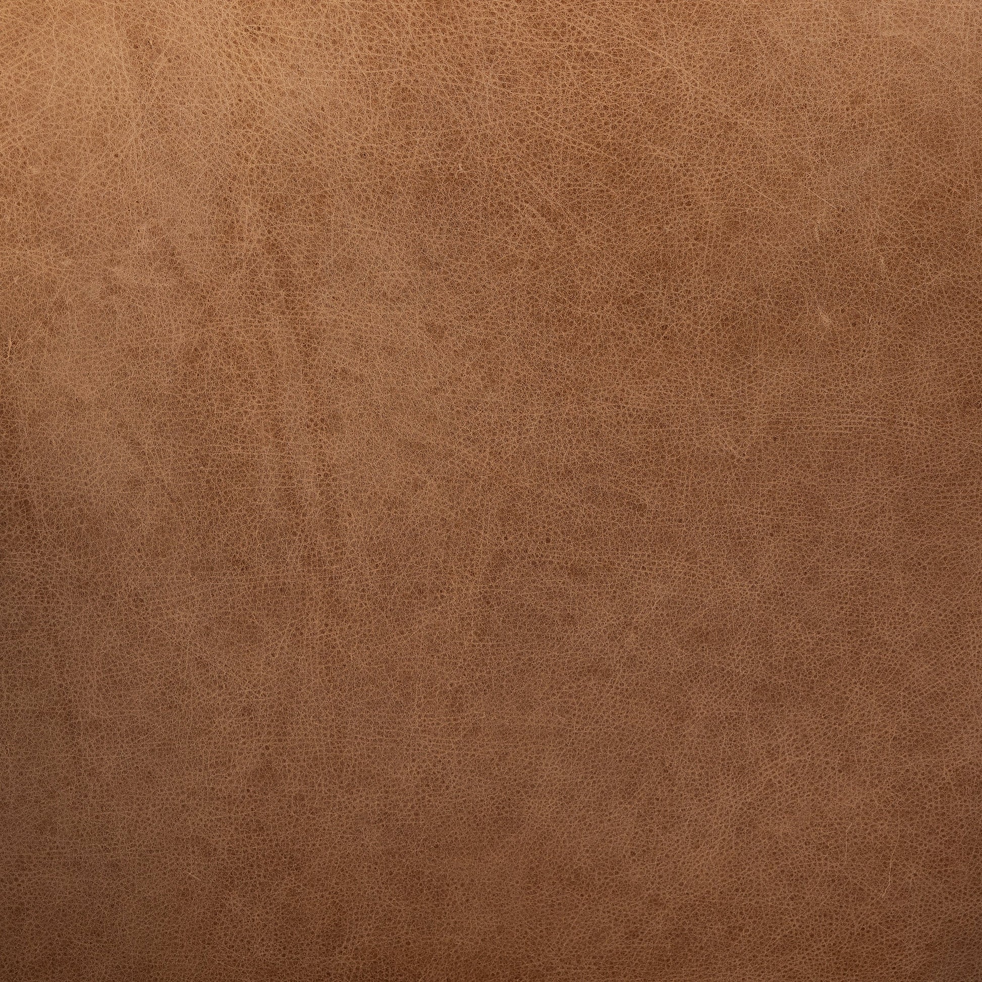 Madeira Dining Chair by Four Hands. Made from unique in a modern style.