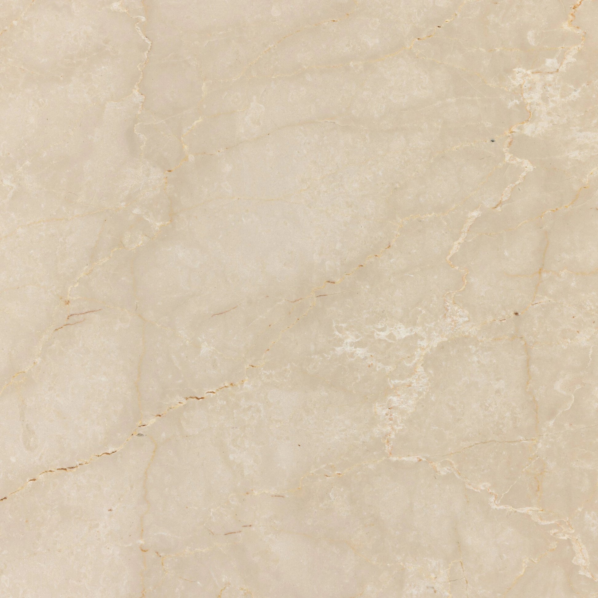 Arum Coffee Table by Four Hands in cream marble. Made from solid marble in a coastal style.