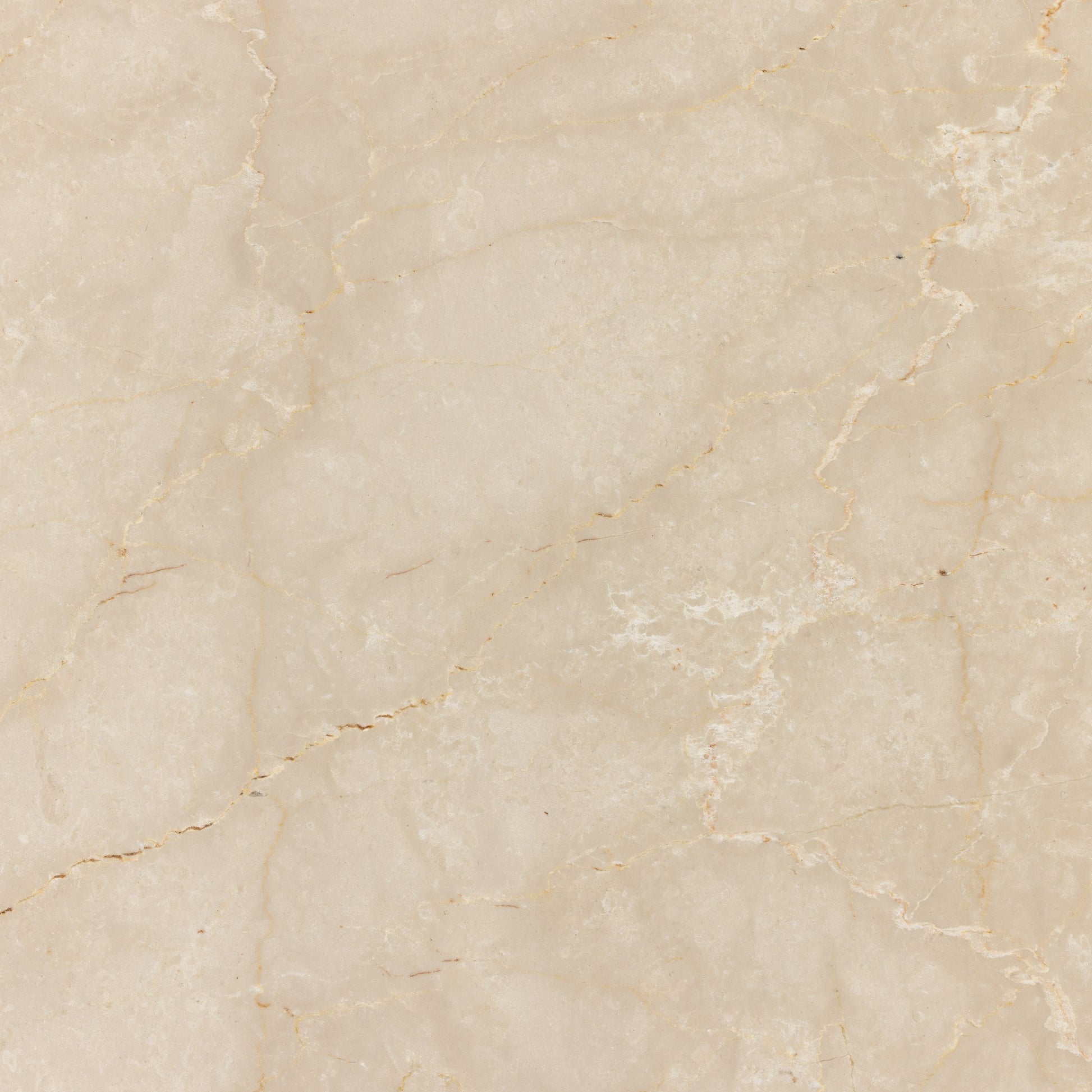Arum Coffee Table by Four Hands in cream marble. Made from solid marble in a coastal style.