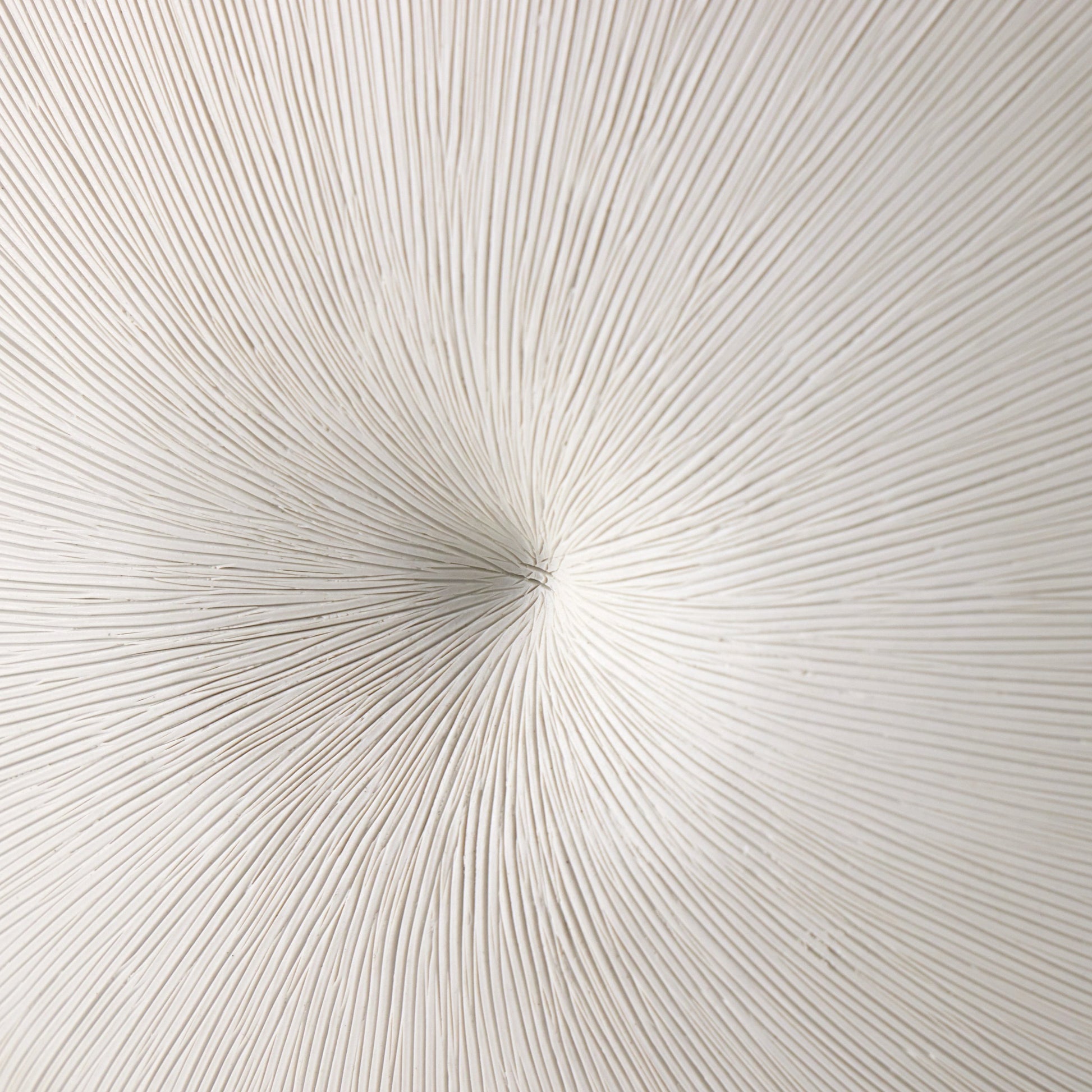 Busaba Table Lamp by Four Hands. Made from ceramic, 65% polyester, 35% flax, linen, thermoplastic in a modern style.