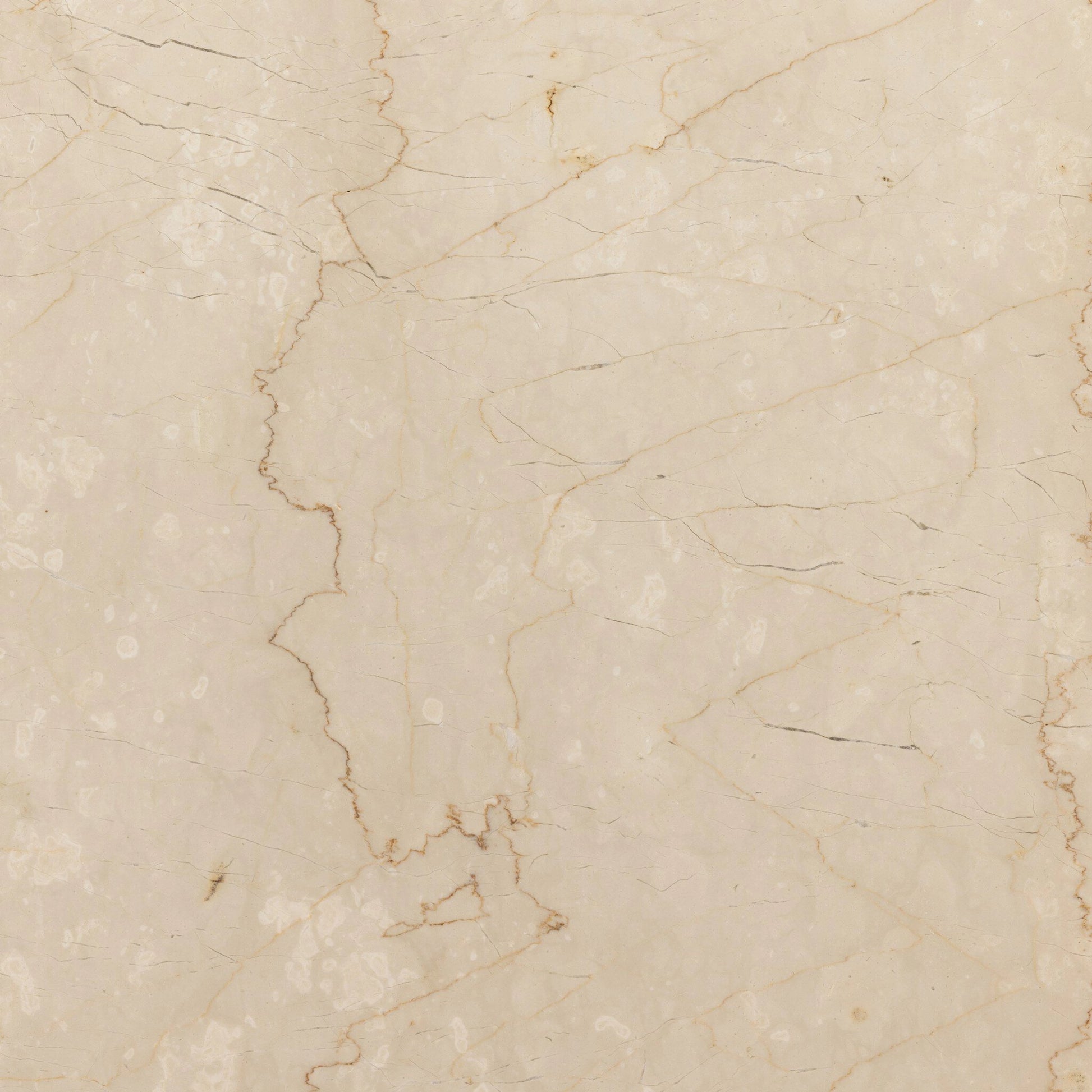 Arum End Table by Four Hands in cream marble. Made from solid marble in a transitional style.