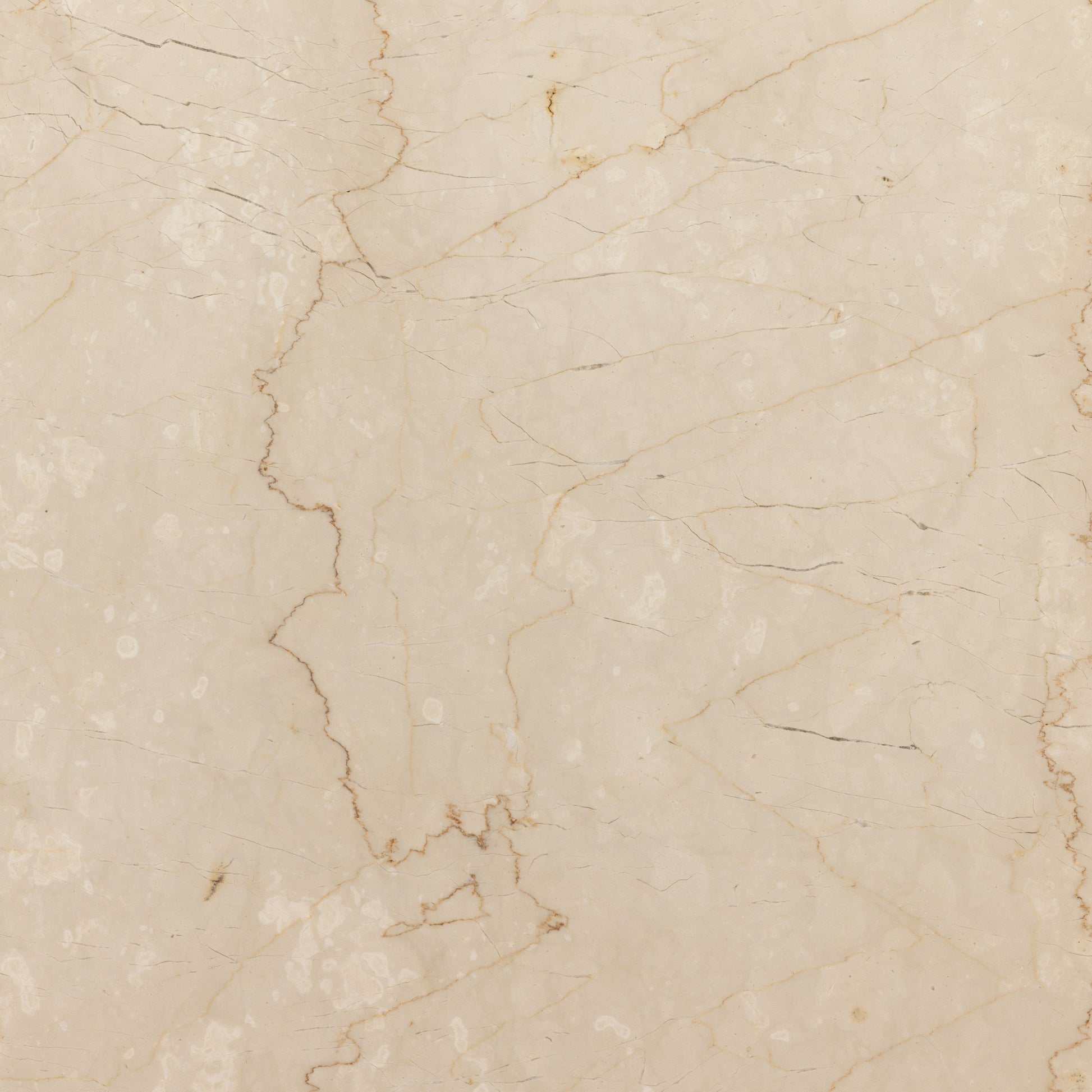 Arum End Table by Four Hands in cream marble. Made from solid marble in a transitional style.