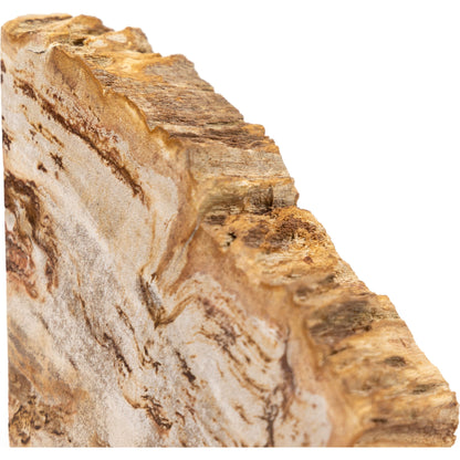 Petrified Wood Book Ends by Four Hands in light petrified wood. Made from petrified wood in a coastal style.