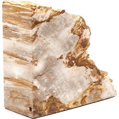 Petrified Wood Book Ends by Four Hands in light petrified wood. Made from petrified wood in a coastal style.