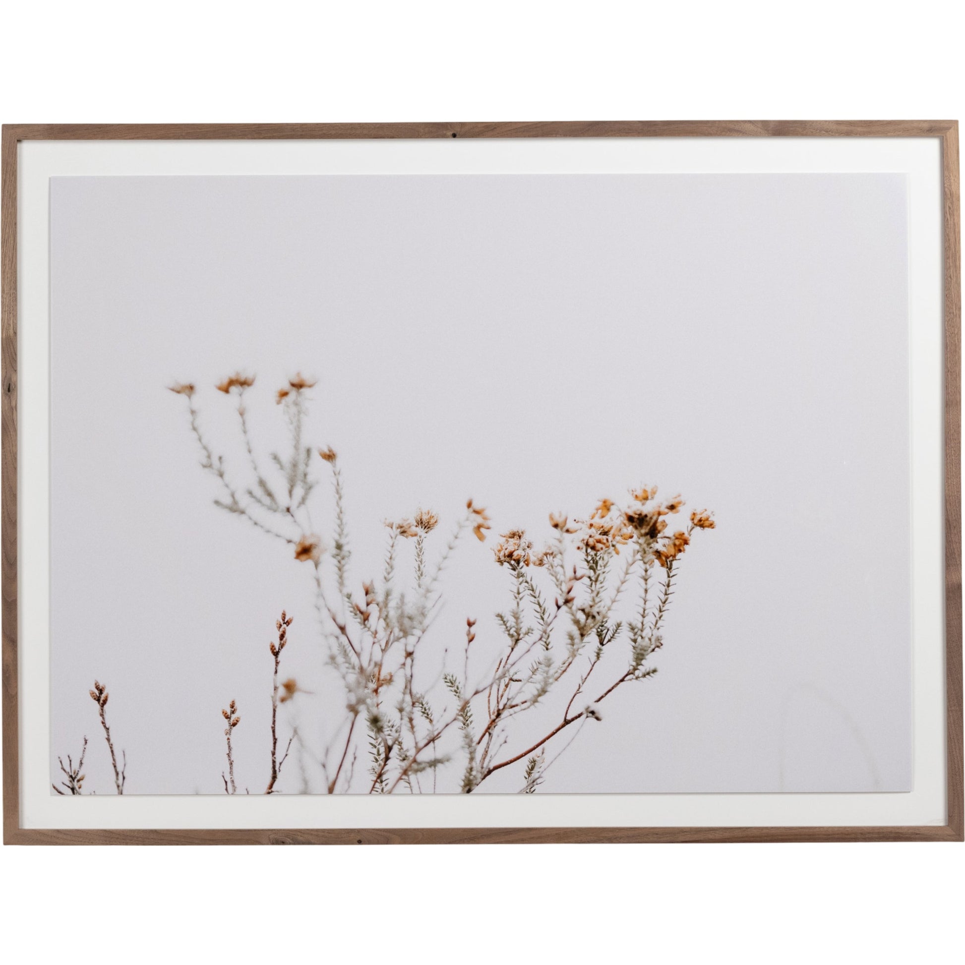 In the Details I by Annie Spratt by Four Hands. Made from acrylic glazing in a cottage & farmhouse style.