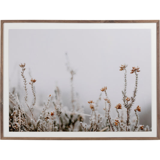 In the Details II by Annie Spratt by Four Hands. Made from photo paper in a cottage & farmhouse style.
